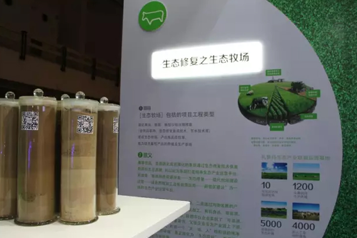 杏宇娱乐官方网站图片