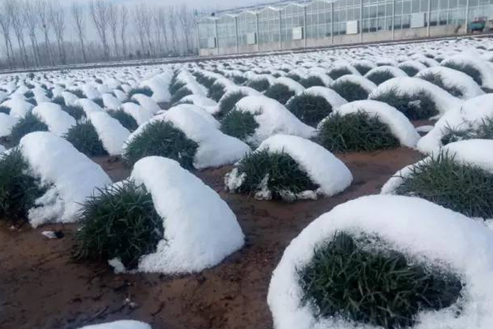杏宇娱乐官方网站图片