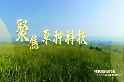 杏宇娱乐 e0728