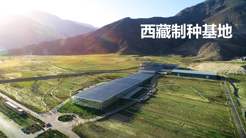 杏宇娱乐 74e16